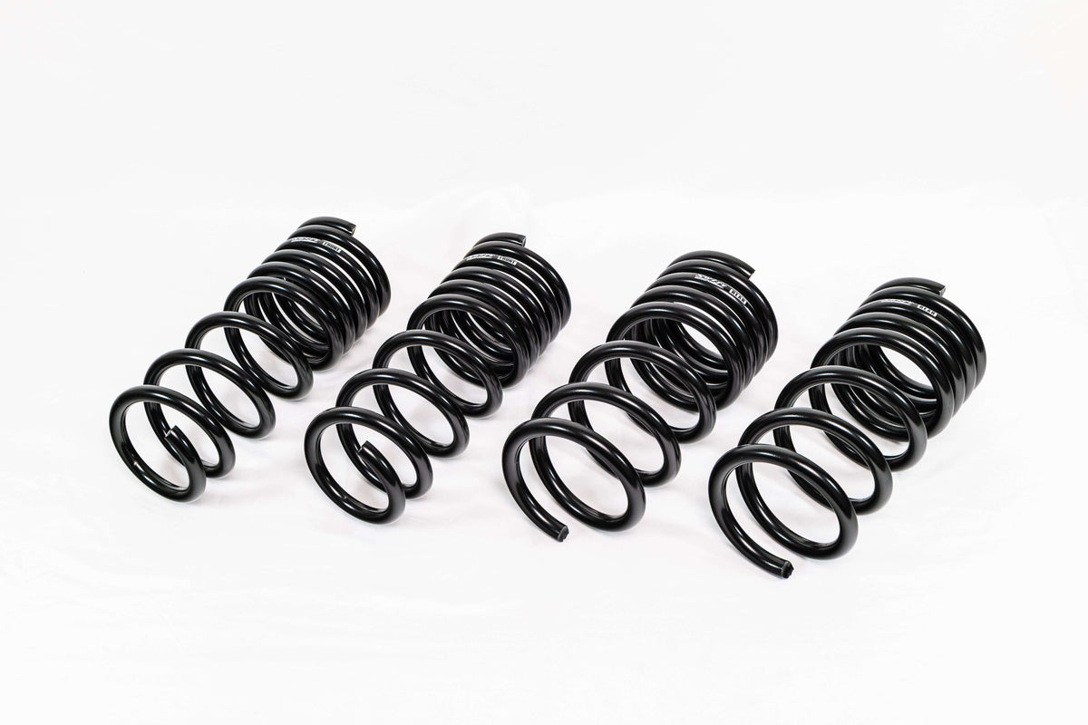 Swift Springs Nissan 370Z Z34 (2009–2020) Spec-R Lowering Springs