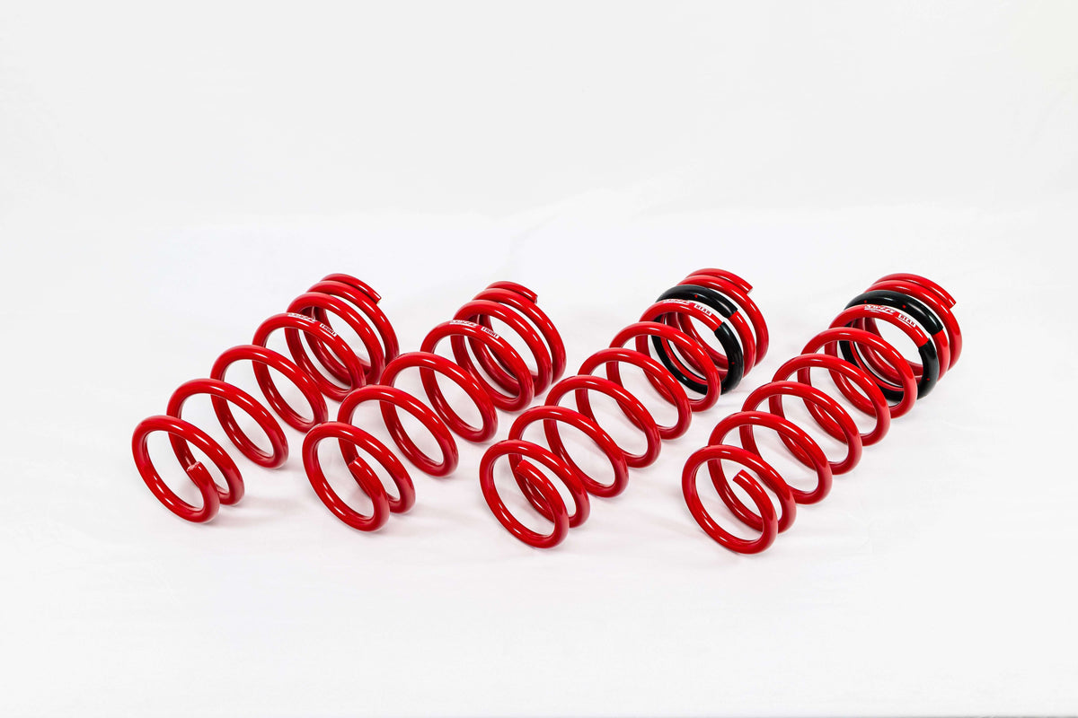Swift Springs Nissan GTR (2015+) Sport Springs