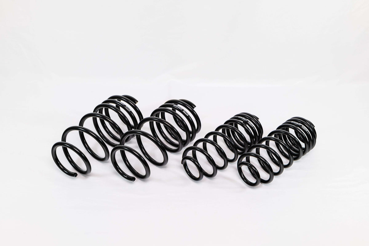 Swift Springs Ford Fiesta ST (2014–2019) Spec-R Lowering Springs