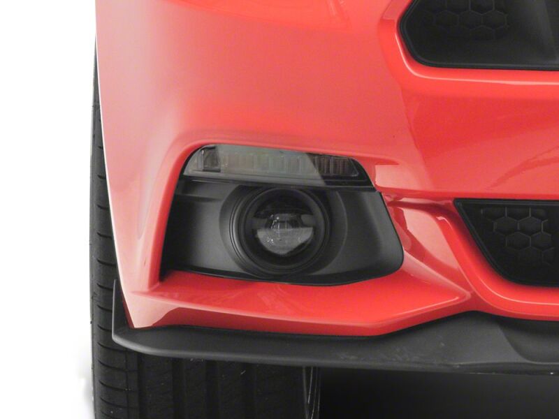 Photo - Close Up