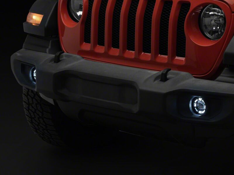 Photo - Close Up