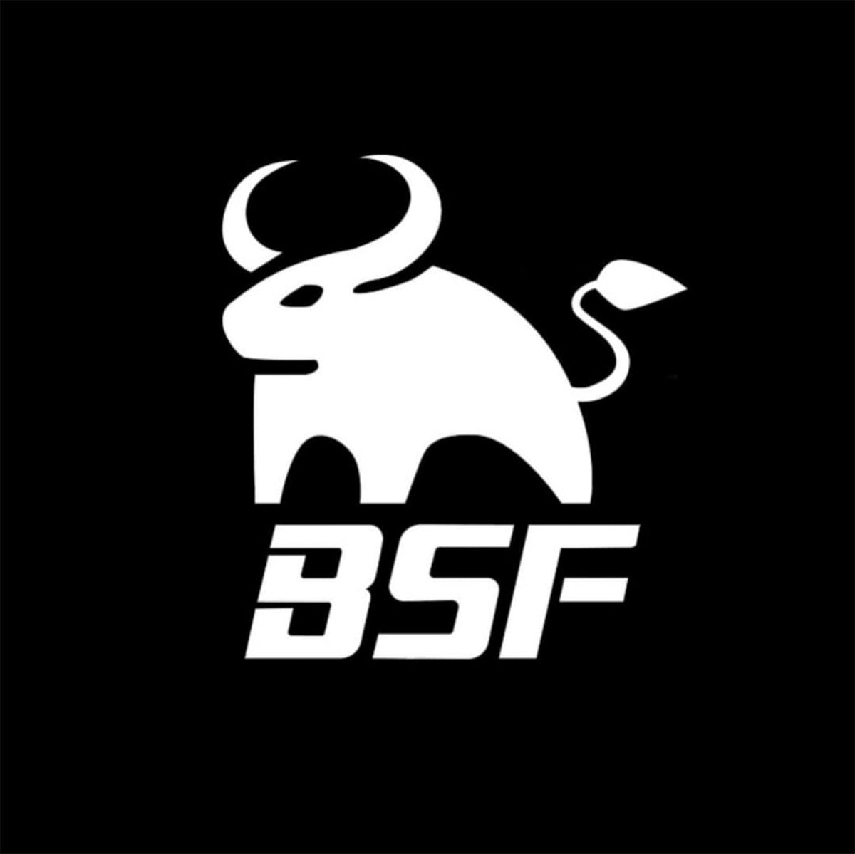 BS Fab Side Exit Exhaust | 2G DSM