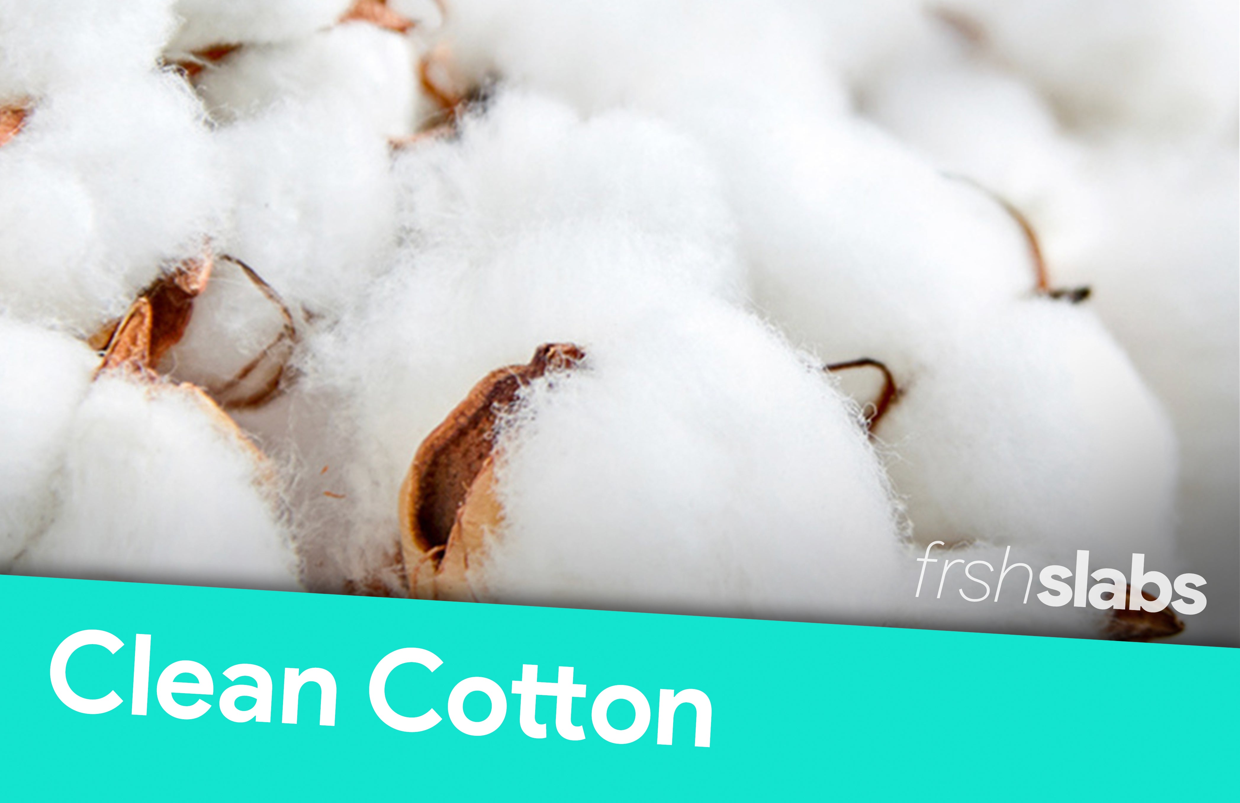 X-Large Refill (10ml)