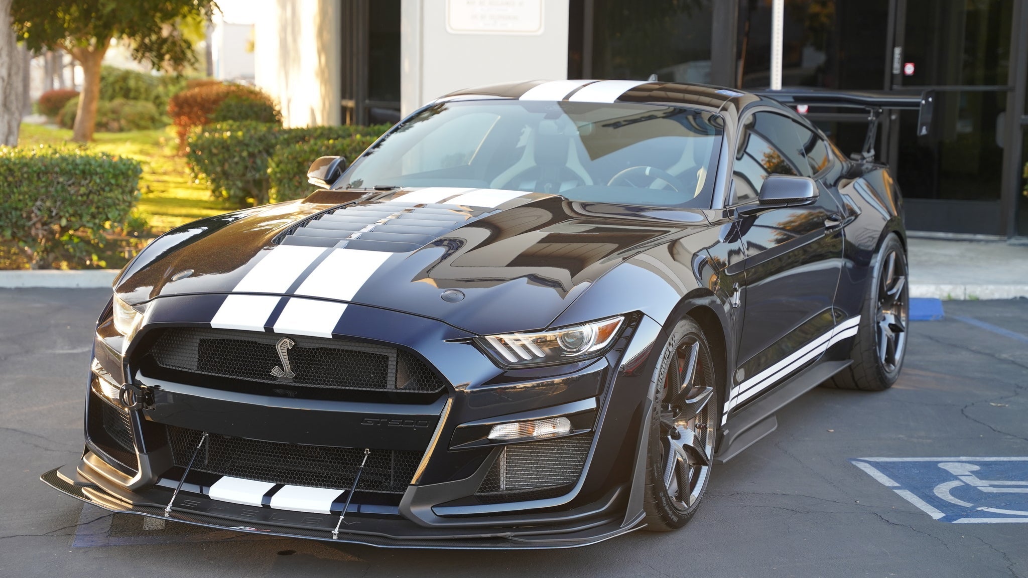 APR Carbon Fiber Hood Vent (2020-2023 Ford Mustang Shelby GT500)