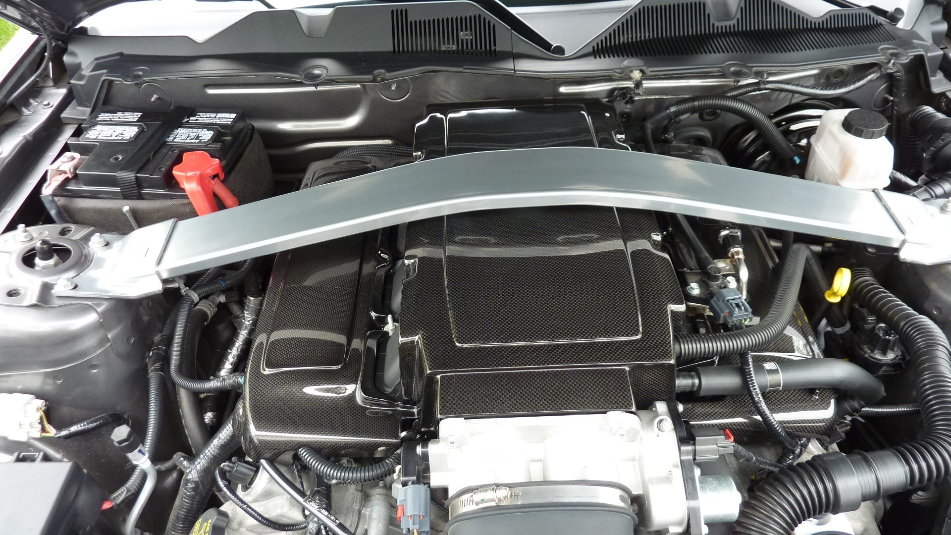 APR Carbon Fiber Fuel Rail Covers (2005-2010 Mustang)