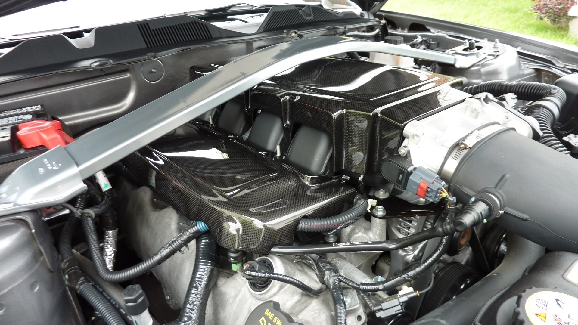 APR Carbon Fiber Fuel Rail Covers (2005-2010 Mustang)