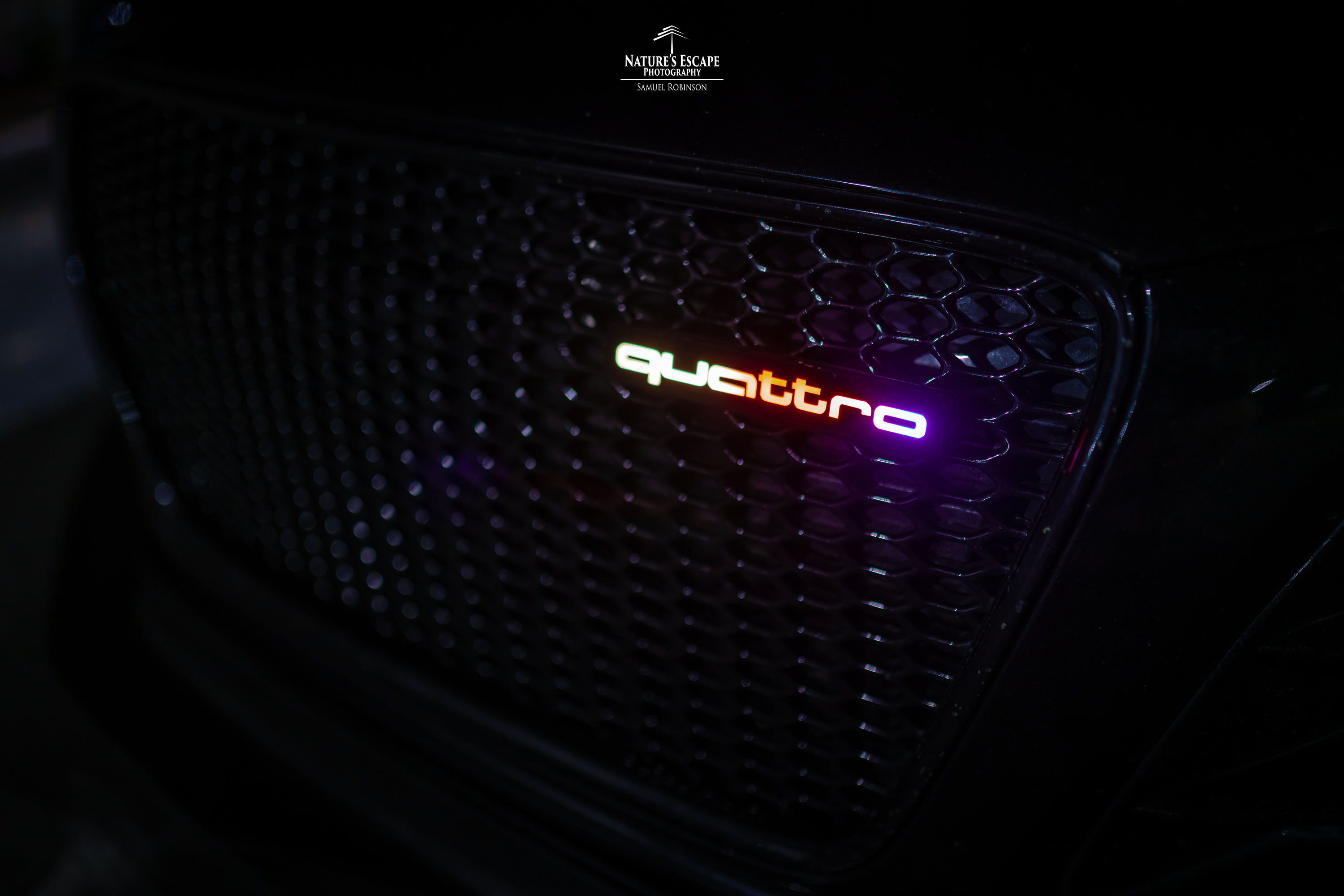 Insignia Lit Logos Quattro Grill | Diseño Universal