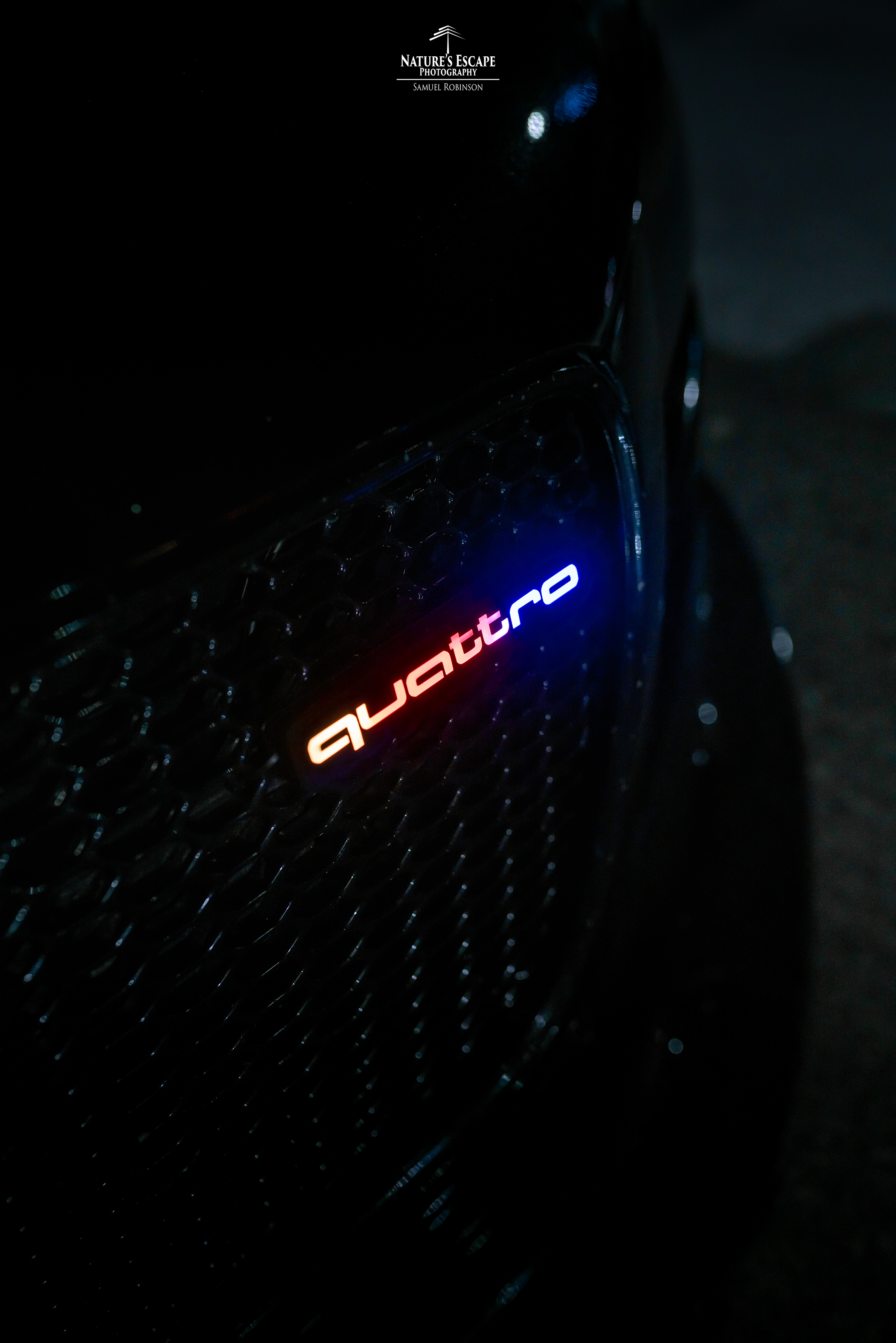 Insignia Lit Logos Quattro Grill | Diseño Universal
