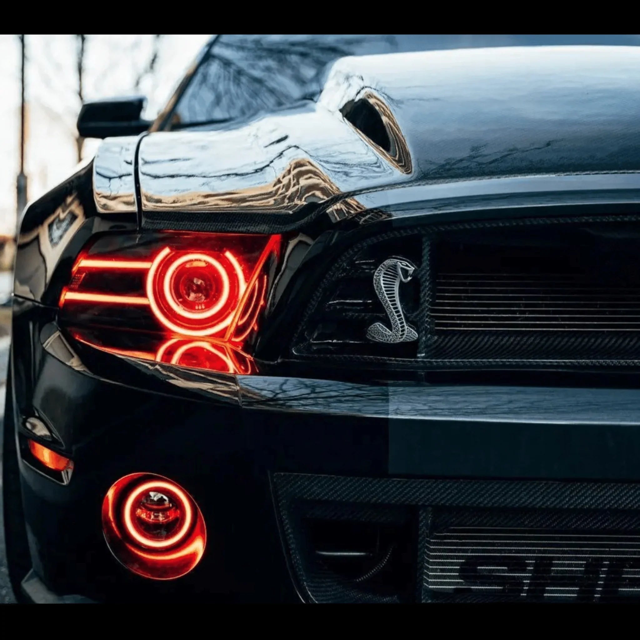 NTXGlow RGB Fog Light | 2013-2014 Ford Mustang