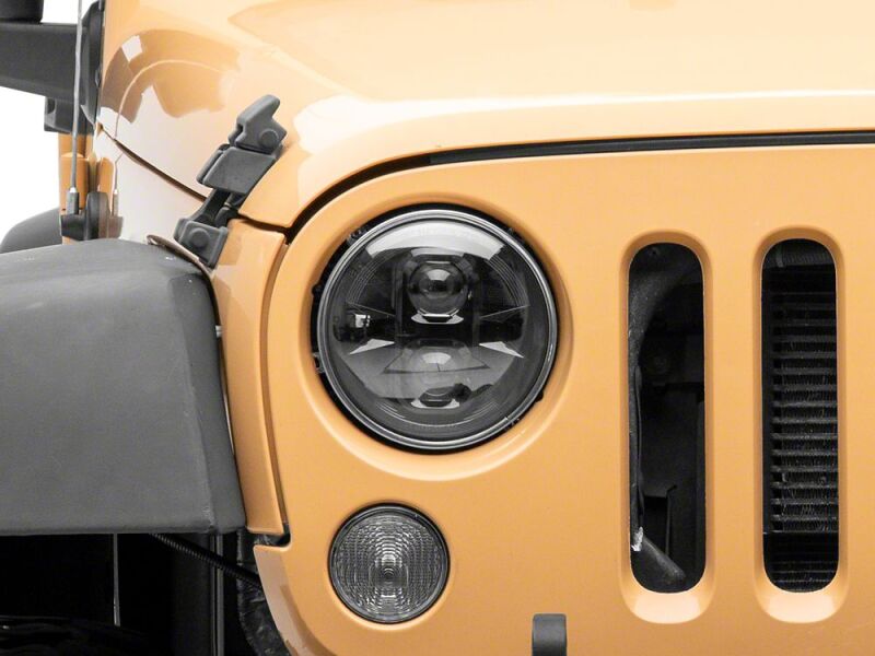 Photo - Close Up