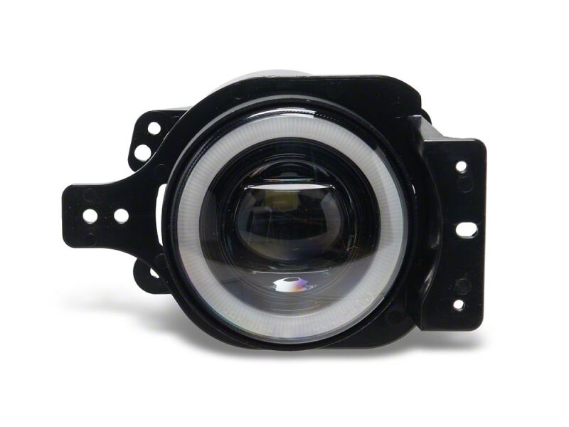 Photo - Close Up