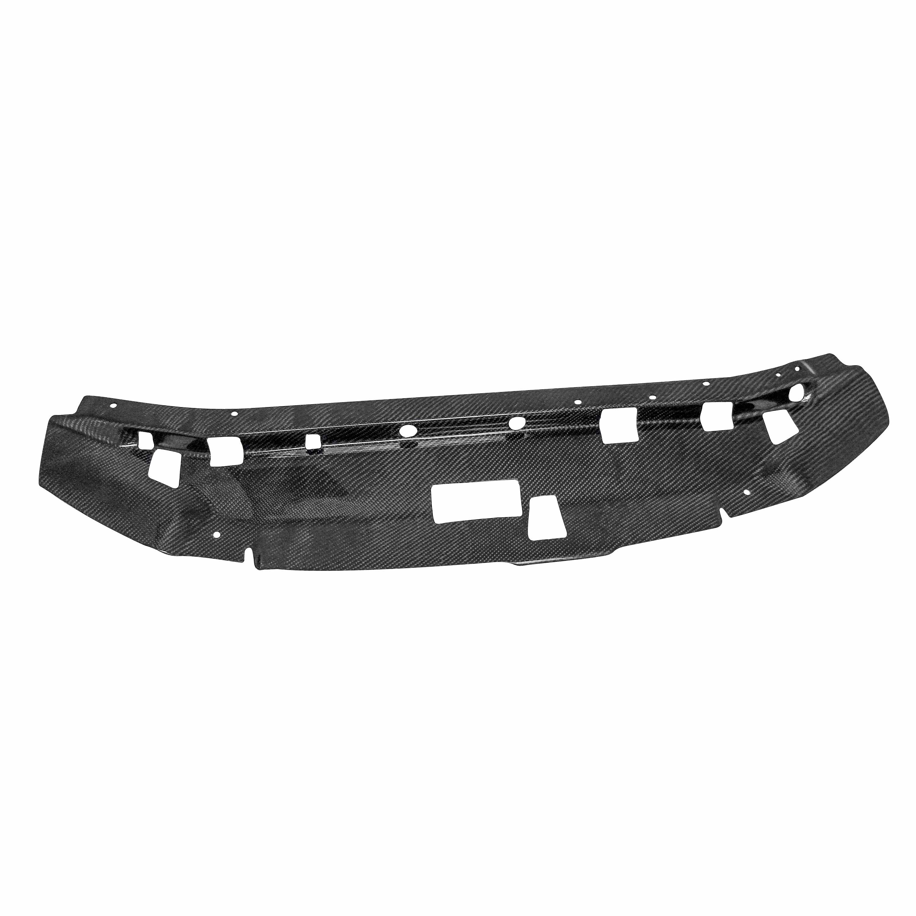 Seibon 99-01 Nissan Skyline R34 Carbon Fiber Cooling Plate (SEICP9901NSR34)