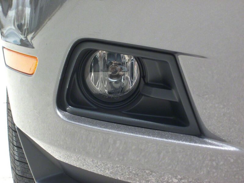 Photo - Close Up