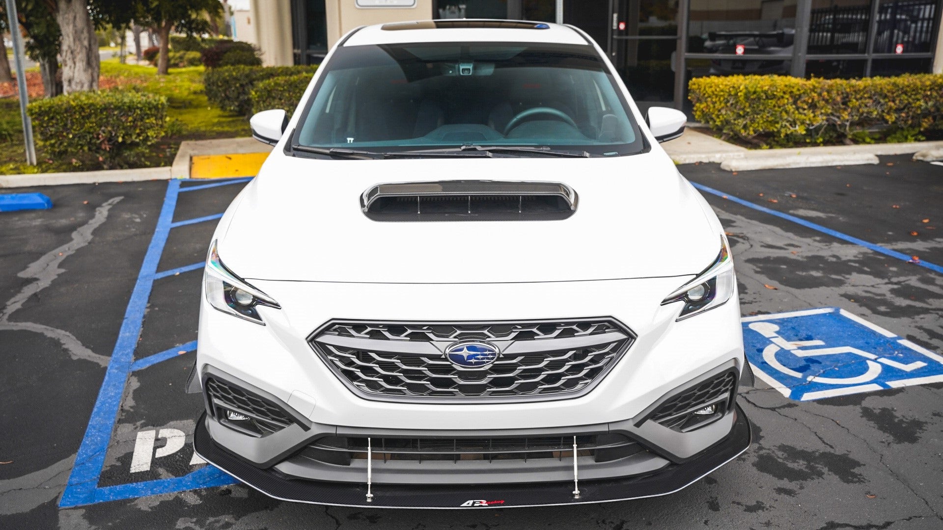 Divisor de viento de fibra de carbono APR con varillas (Subaru WRX 2022-2023)
