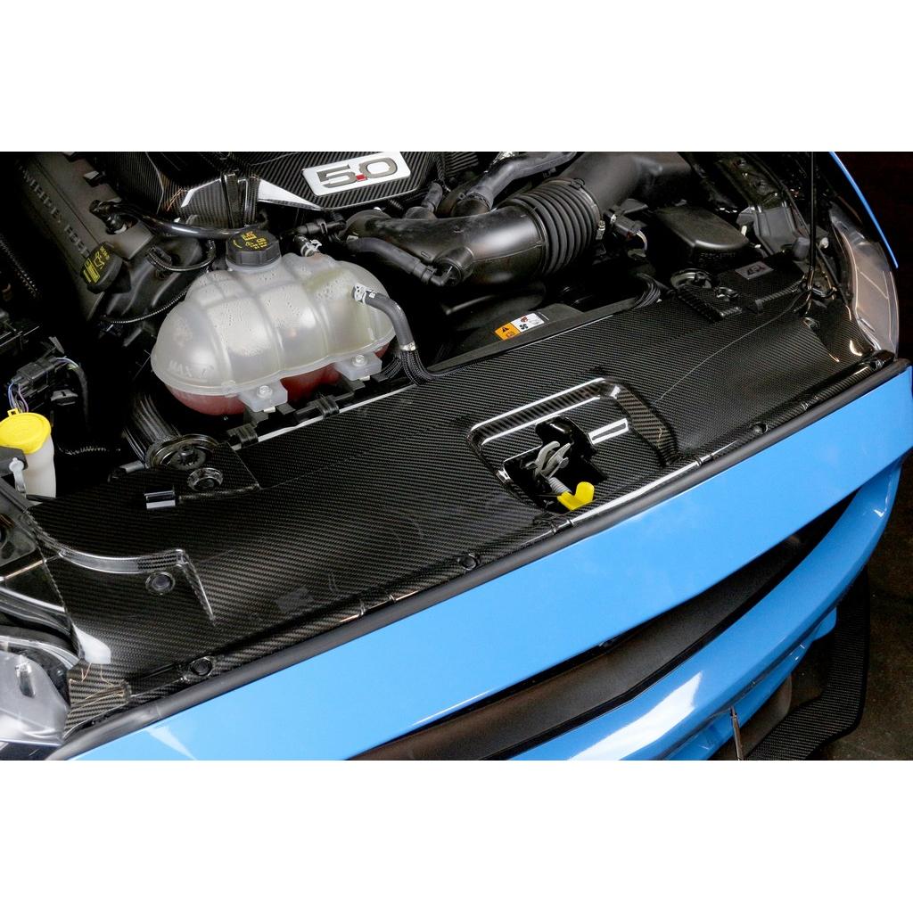 Placa de refrigeración del radiador de fibra de carbono (Ford Mustang GT 2015-2017)