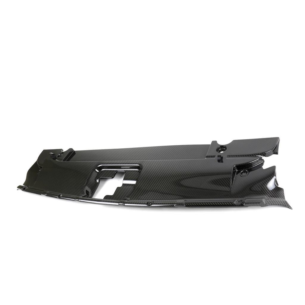 Placa de refrigeración del radiador de fibra de carbono (Ford Mustang GT 2015-2017)