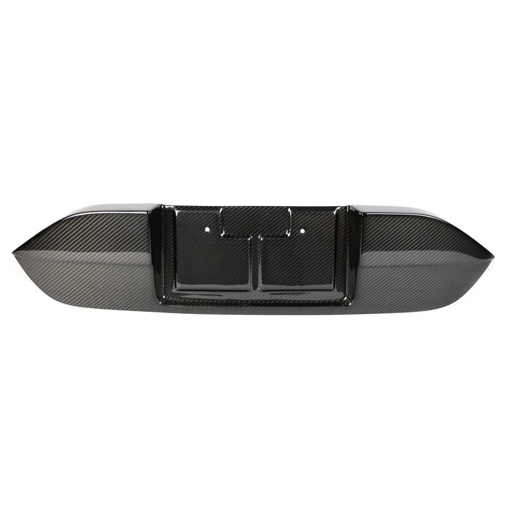 APR Carbon Fiber License Plate Backing (2017-2021 Honda FK8 Civic Type R)