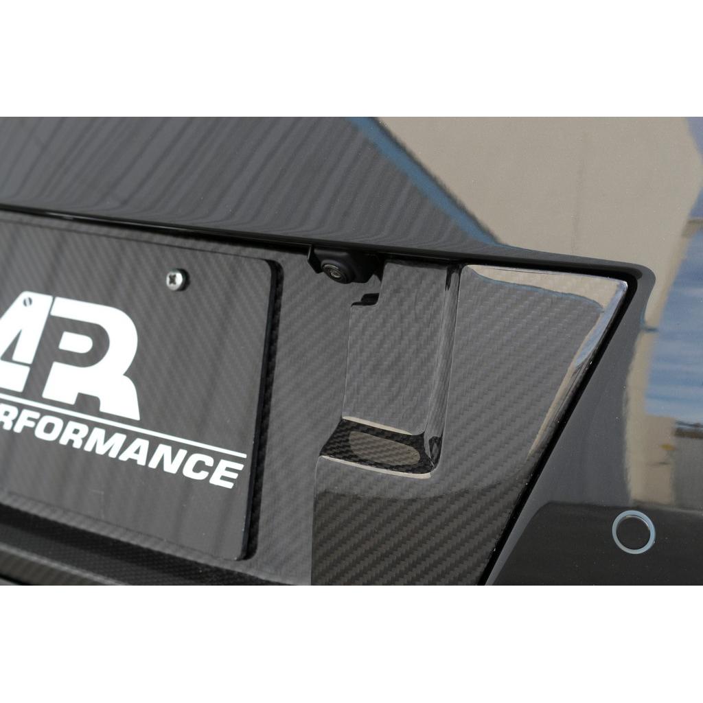 APR Carbon Fiber License Plate Backing (2017-2022 Nissan GTR R35)