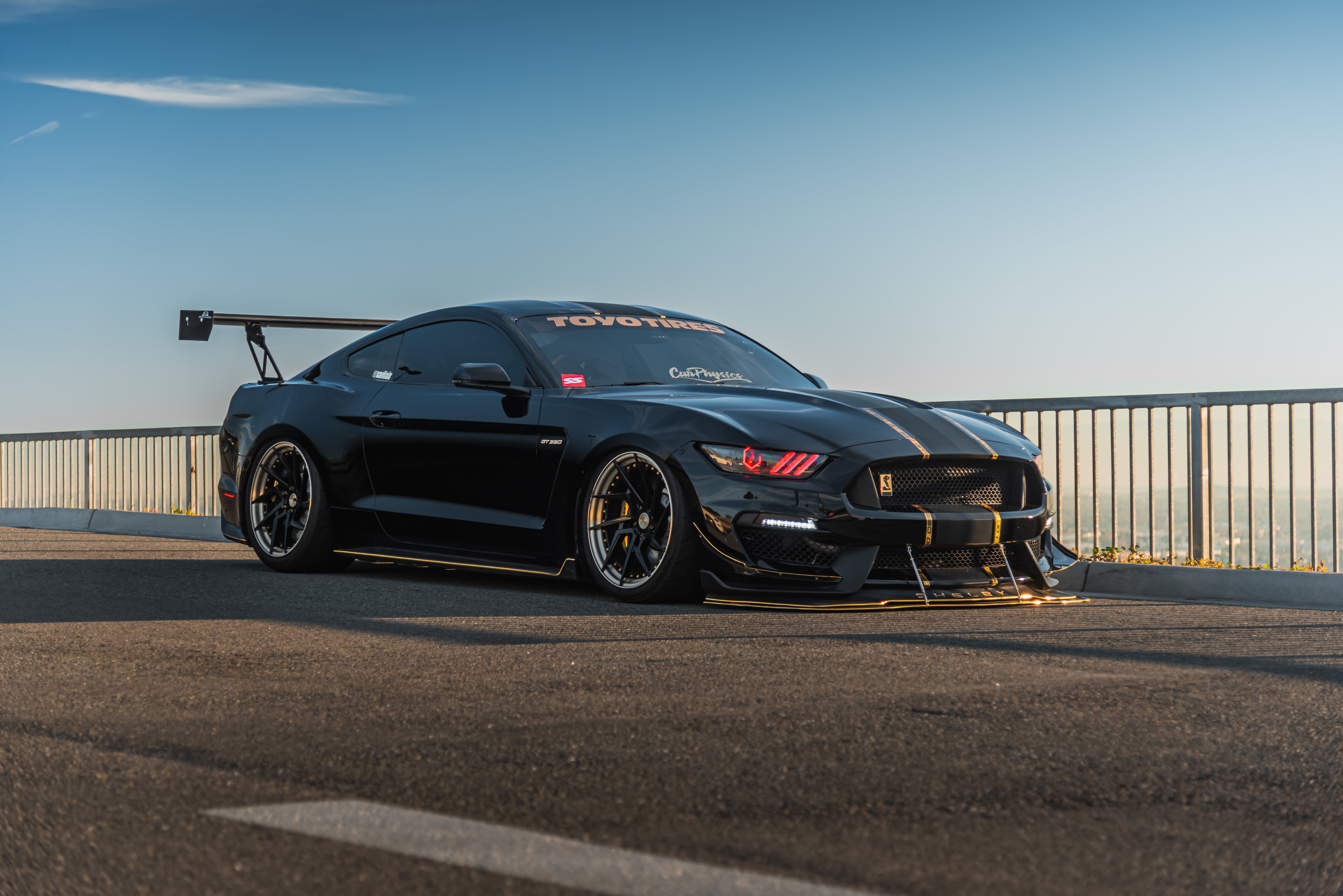 Divisor de viento delantero de fibra de carbono APR (Ford Mustang Shelby GT350/GT350R 2015-2023)