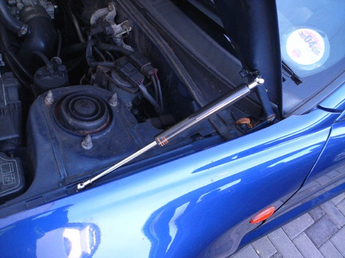 Rexpeed Carbon Fiber Hood Dampers | Mitsubishi Evo 4-10 - 2