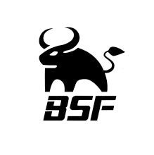 BSF - JD Customs U.S.A