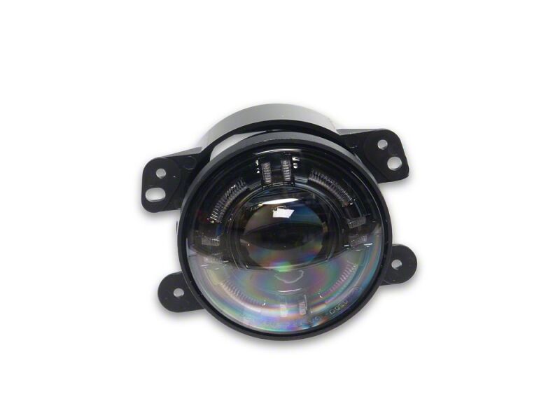 Photo - Close Up
