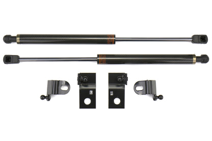 Kit de amortiguador de capó de carbono OLM - FT86 2013+