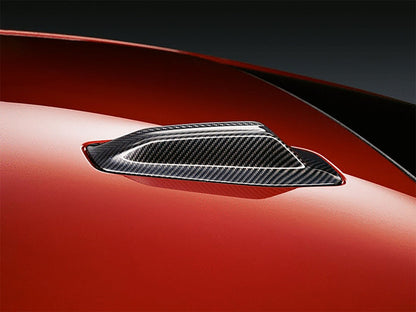 AutoTecknic Dry Carbon Roof Antenna Cover - G60 5-Series | G70 7-Series