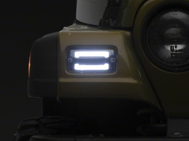 Photo - Close Up
