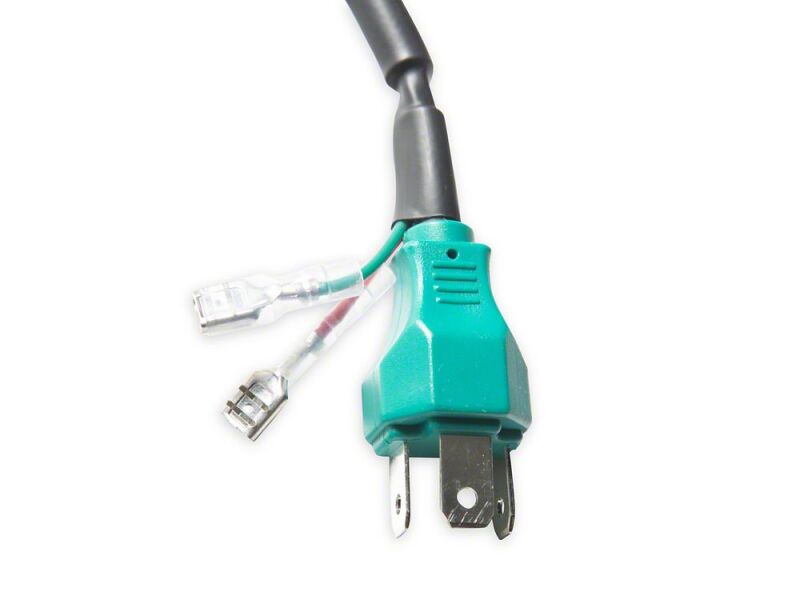Photo - Close Up
