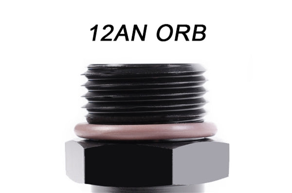 Radium Engineering 12AN ORB Plug