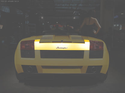 Carbonado OE Style Carbon Fiber Tail Light Center Replacement | 2004-2008 Lamborghini Gallardo, Gallardo SE, Superleggera
