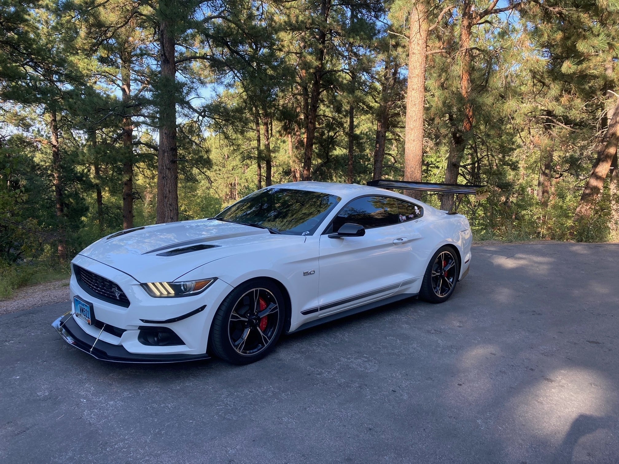 APR GT-250 Carbon Fiber Adjustable Wing (2015-2017 Ford Mustang Shelby GT350 GT500)