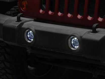 Photo - Close Up