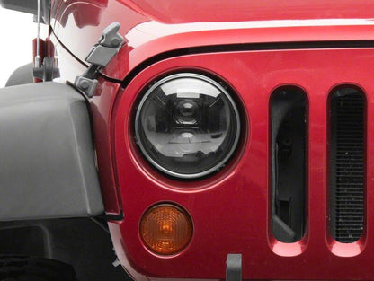 Photo - Close Up