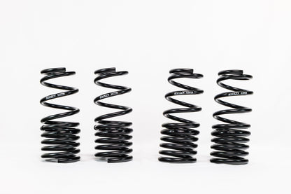 Swift Springs Honda S2000 AP1/AP2 (2000–2009) Spec-R Lowering Springs