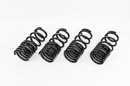 Swift Springs Honda S2000 AP1/AP2 (2000–2009) Spec-R Lowering Springs
