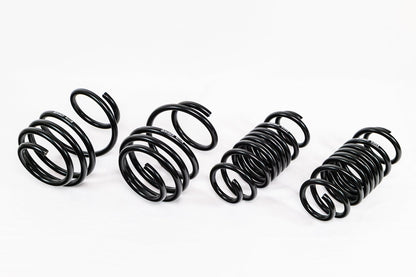 Swift Springs Honda Civic Type-R (2017–2022 FK8) Spec-R Lowering Springs