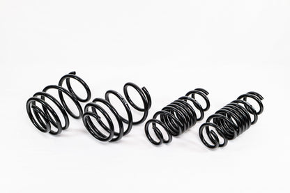 Swift Springs Honda Civic Type R FL5 (2023+) Spec-R Lowering Springs