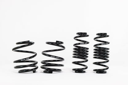 Swift Springs Acura Integra Type S (2023+) Spec-R Lowering Springs