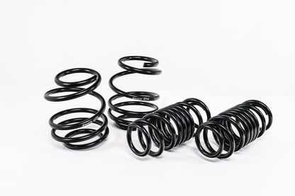 Swift Springs Acura Integra Type S (2023+) Spec-R Lowering Springs