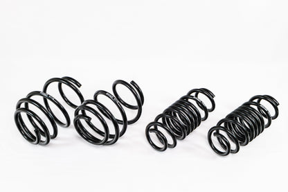 Swift Springs Acura Integra Type S (2023+) Spec-R Lowering Springs