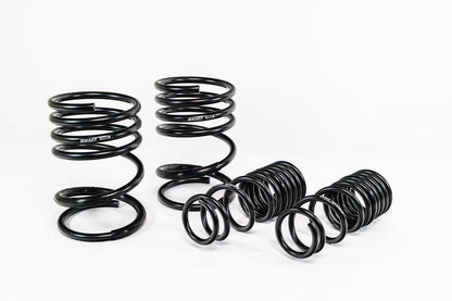 Swift Springs Mitsubishi Lancer Evo 8/9 (2005–2007) Spec-R Lowering Springs