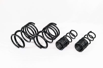 Swift Springs Mitsubishi Lancer Evo 8/9 (2005–2007) Spec-R Lowering Springs
