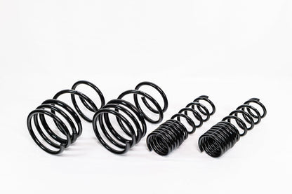 Swift Springs Mitsubishi Lancer Evo X (2008–2016) Spec - R Lowering Springs - 5
