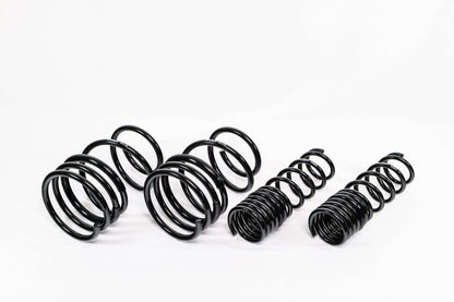Swift Springs Mitsubishi Lancer Evo X (2008–2016) Spec-R Lowering Springs