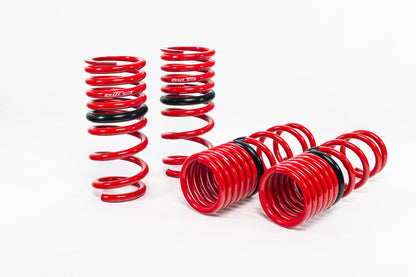 Swift Springs Nissan GTR (2009-2010) Sport Springs