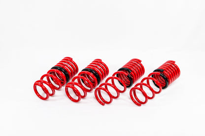 Swift Springs Nissan GTR (2009-2010) Sport Springs