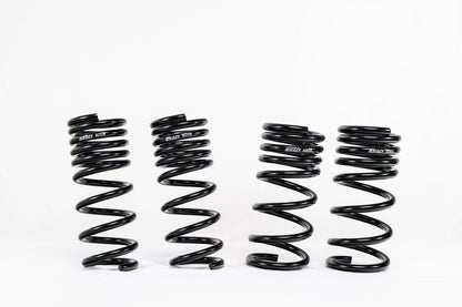 Swift Springs Nissan 370Z Z34 (2009–2020) Spec-R Lowering Springs