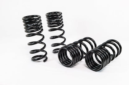 Swift Springs Nissan 370Z Z34 (2009–2020) Spec-R Lowering Springs